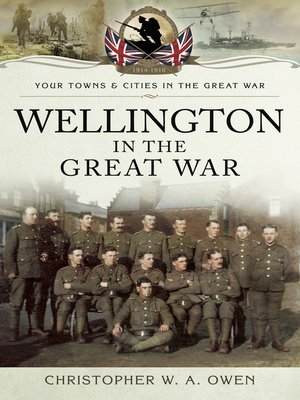 cover image of Wellington in the Great War